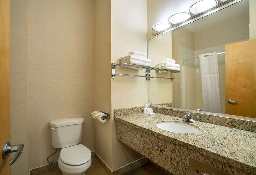 فندق Comfort Inn & Suites