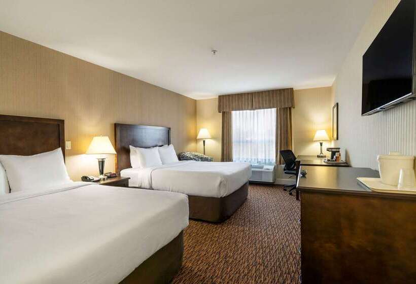 בית מלון כפרי Comfort Inn & Suites