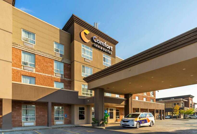 בית מלון כפרי Comfort Inn & Suites