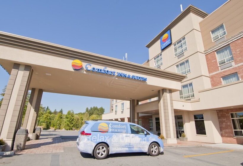 בית מלון כפרי Comfort Inn & Suites