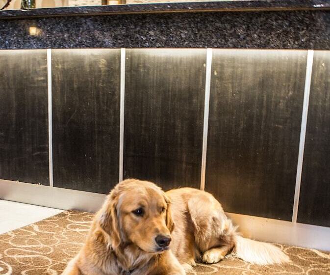 酒店 Comfort Suites Kelowna