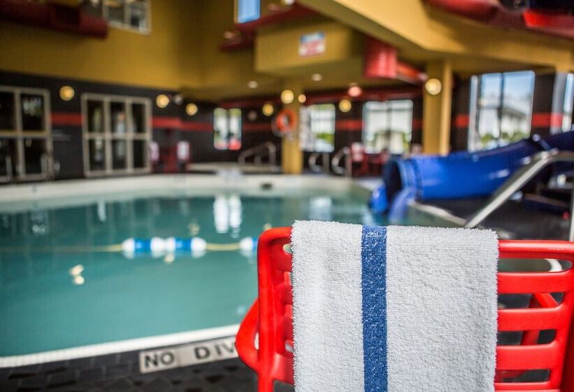 酒店 Comfort Suites Kelowna