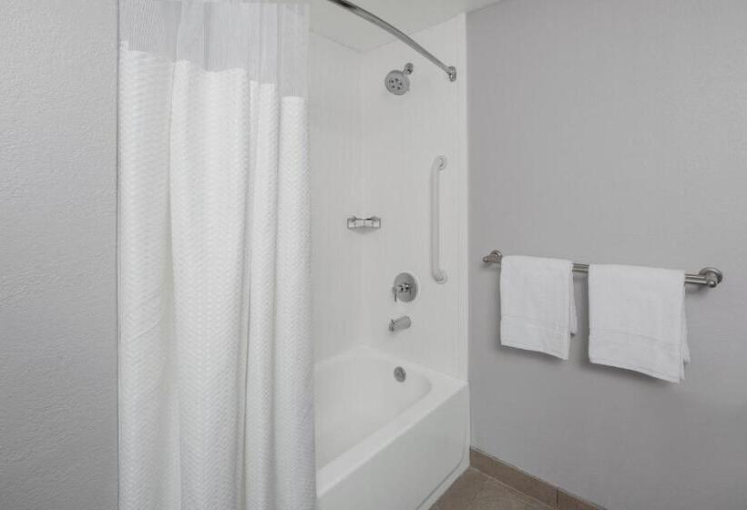 فندق Courtyard Tampa Oldsmar