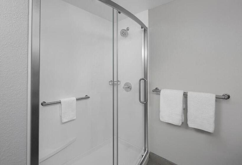 فندق Courtyard Tampa Oldsmar