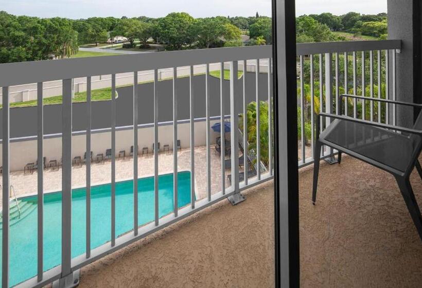 فندق Courtyard Tampa Oldsmar
