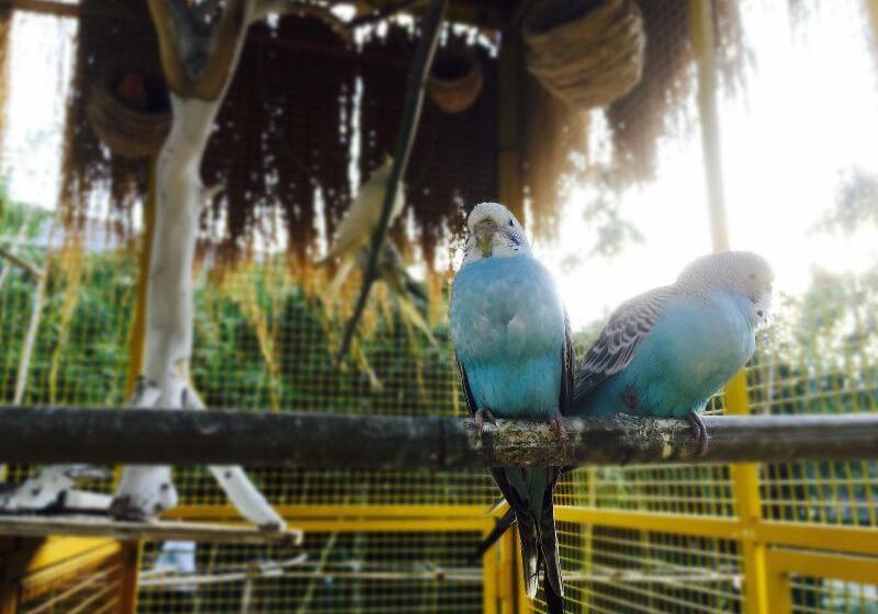 Otel Crowne Plaza Shanghai Xiayang Lake, An Ihg