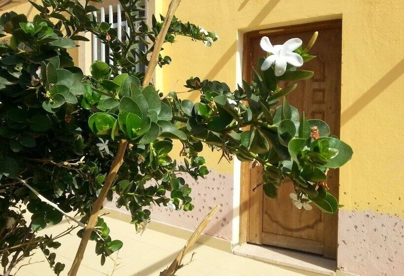 هتل Darna Divers Village