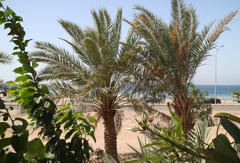 هتل Darna Divers Village