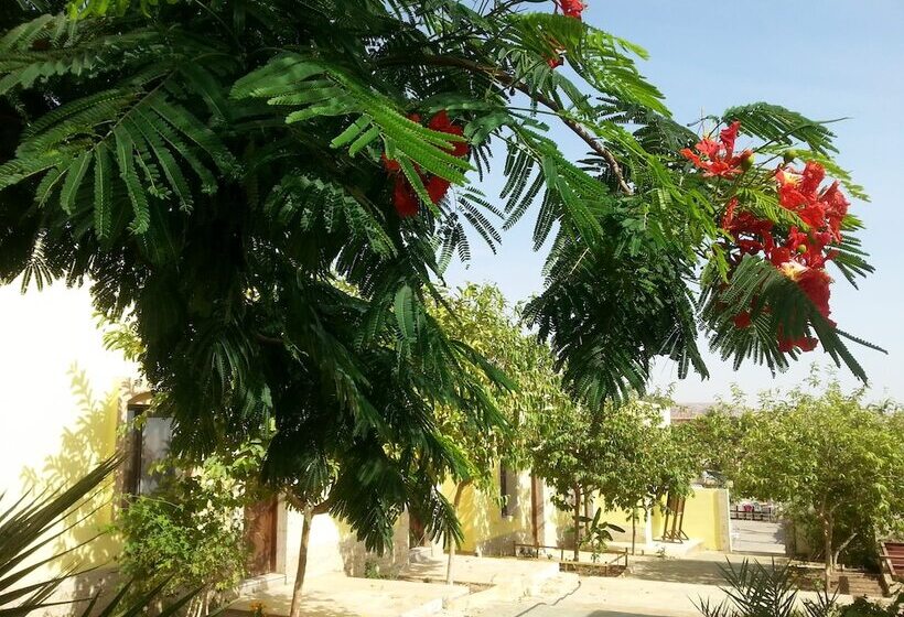 هتل Darna Divers Village