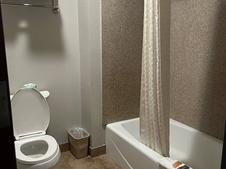 هتل Days Inn By Wyndham Baton Rouge I 10