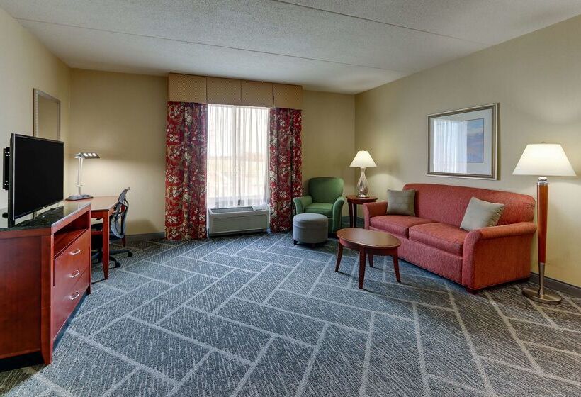 בית מלון כפרי Hilton Garden Inn Indianapolis Airport