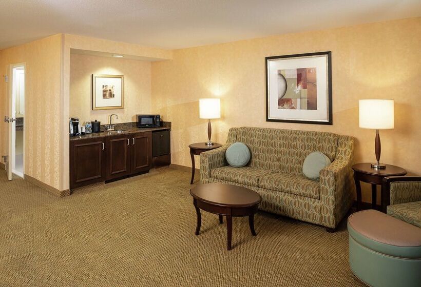 בית מלון כפרי Hilton Garden Inn Sioux Falls South