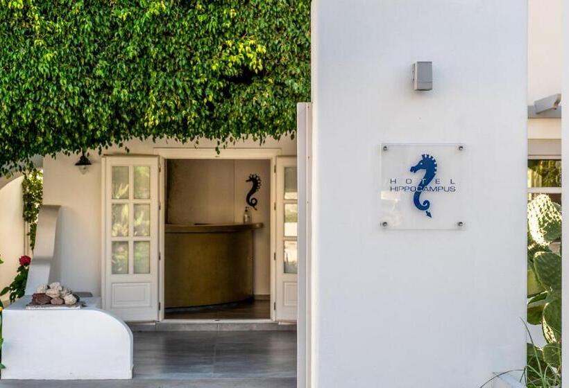 酒店 Hippocampus