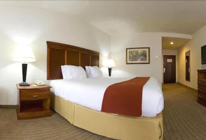 فندق Holiday Inn Express & Suites Dyersburg, An Ihg