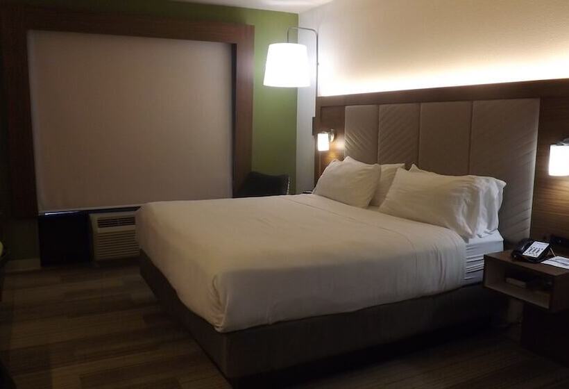 فندق Holiday Inn Express & Suites Dyersburg, An Ihg