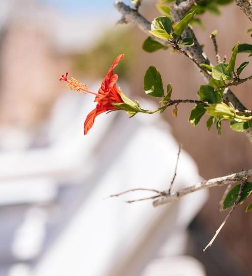 Отель Iliada Odysseas Resort