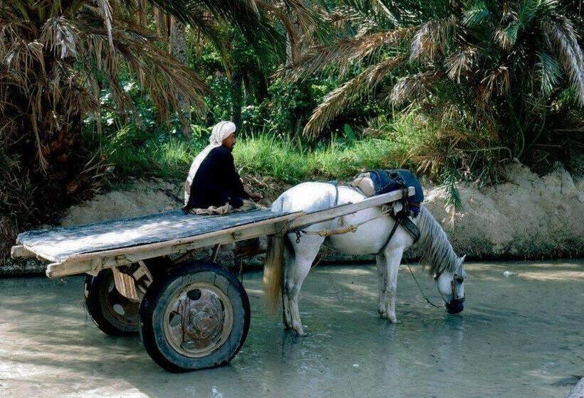 Отель Maison D Hôtes Villa Fatima