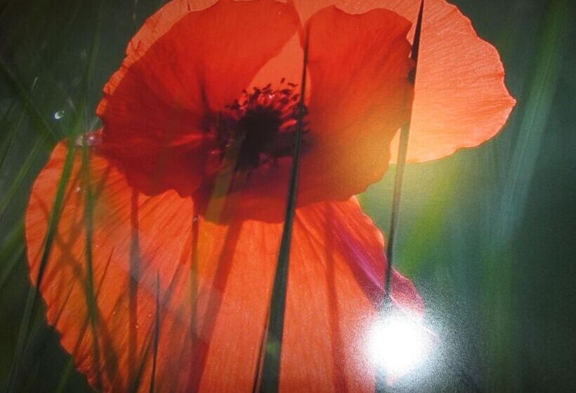 酒店 Palacio De Asturias