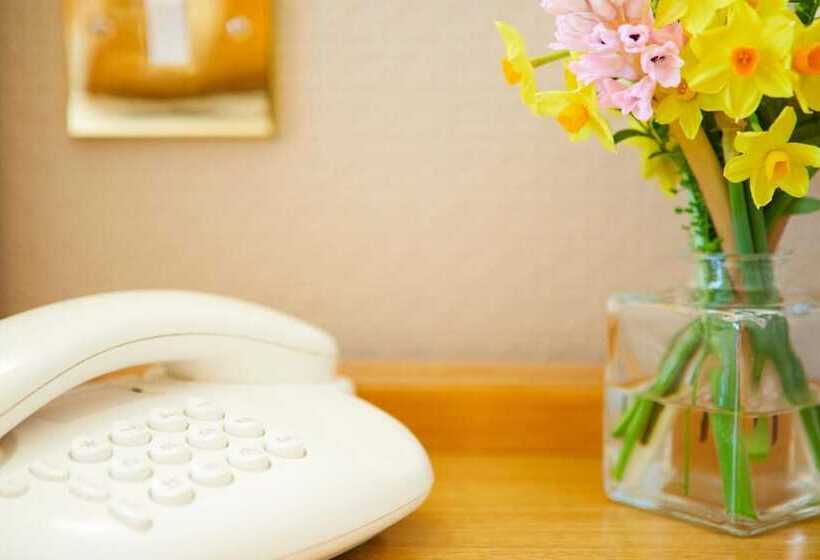 בית מלון כפרי Palm Court