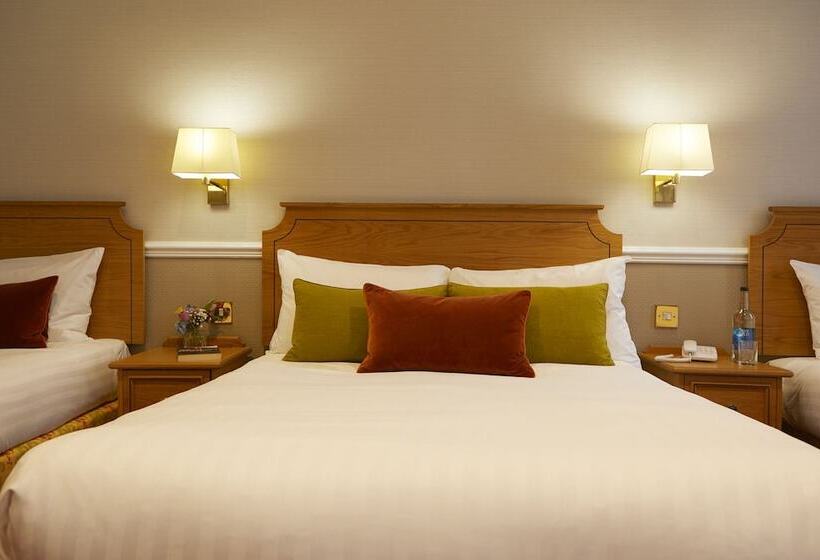 בית מלון כפרי Palm Court