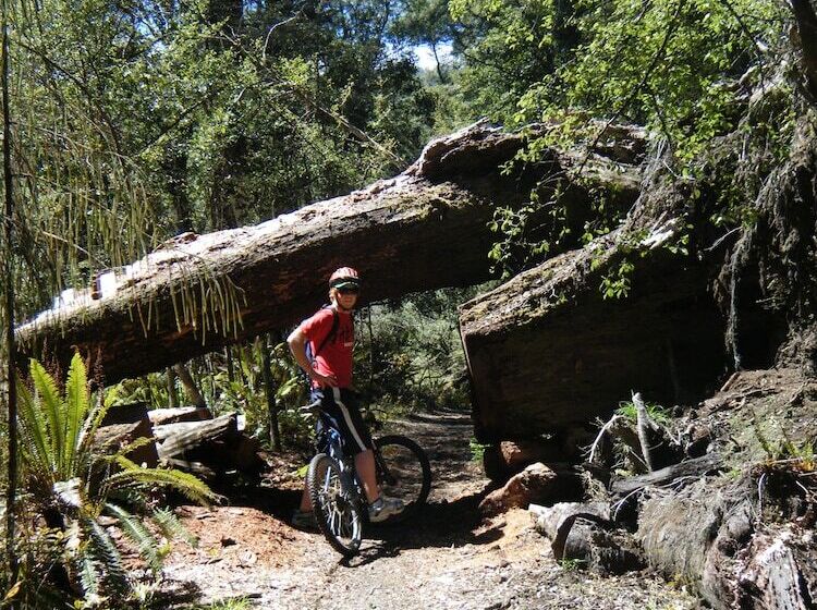 酒店 Parklands Motorlodge & Holiday Park