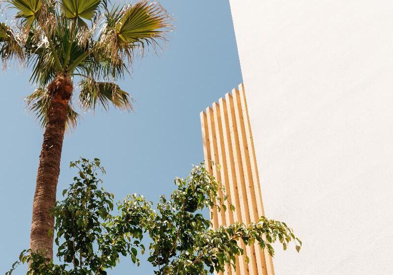 호텔 Petradi Beach Lounge