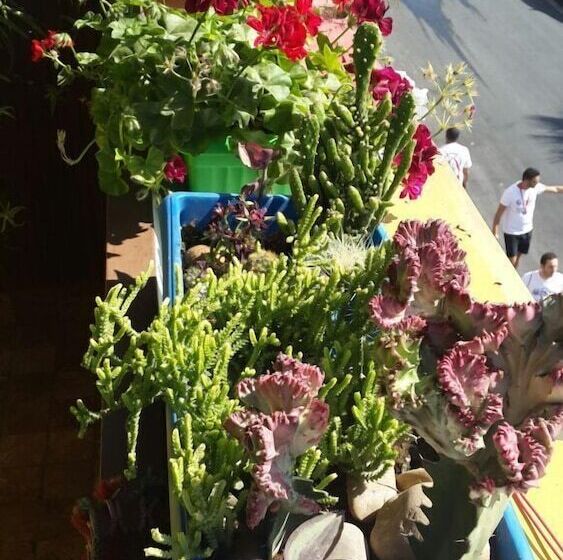 هتل Roman Theater