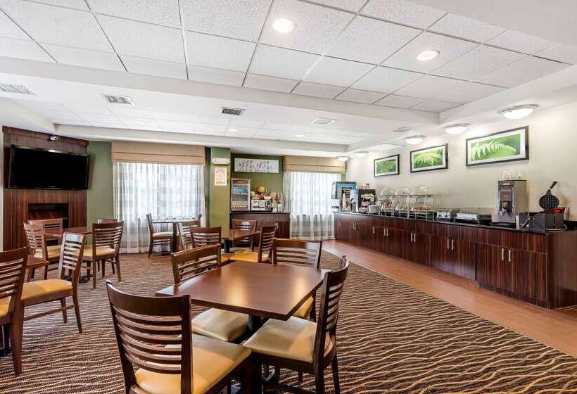 酒店 Sleep Inn Columbia Gateway