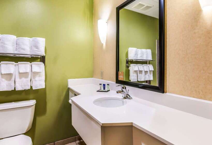 Отель Fort Stockton Inn & Suites