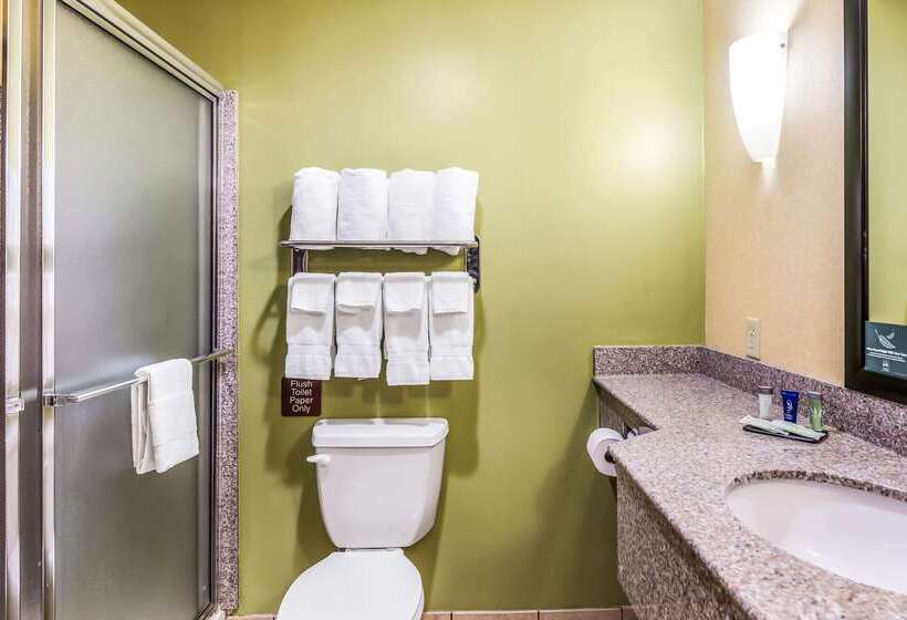 호텔 Fort Stockton Inn & Suites