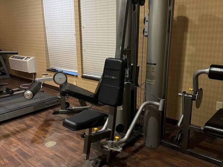 Отель Fort Stockton Inn & Suites