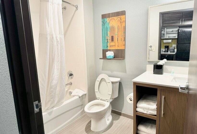 Отель Fort Stockton Inn & Suites