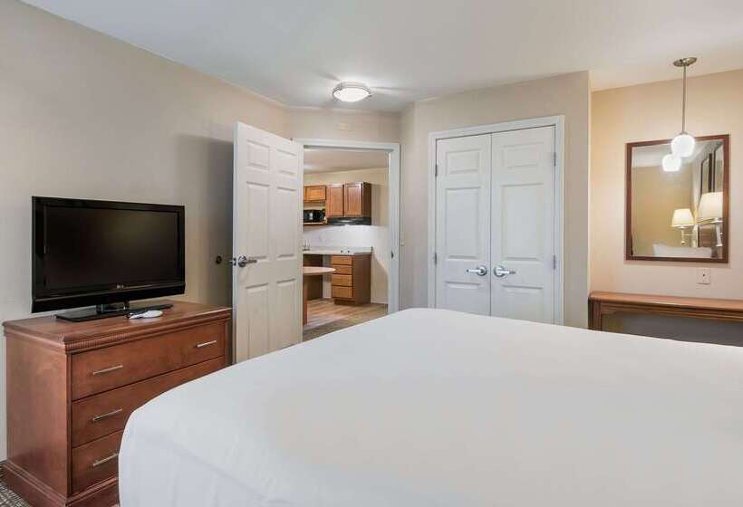 فندق Suburban Studios Waterloo