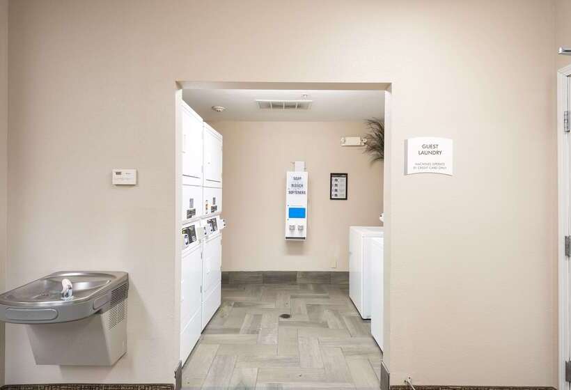 فندق Suburban Studios Waterloo