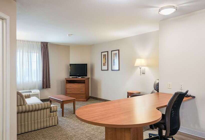 فندق Suburban Studios Waterloo