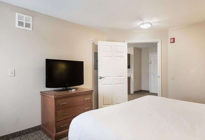 فندق Suburban Studios Waterloo