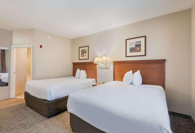 فندق Suburban Studios Waterloo