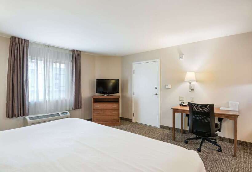 فندق Suburban Studios Waterloo