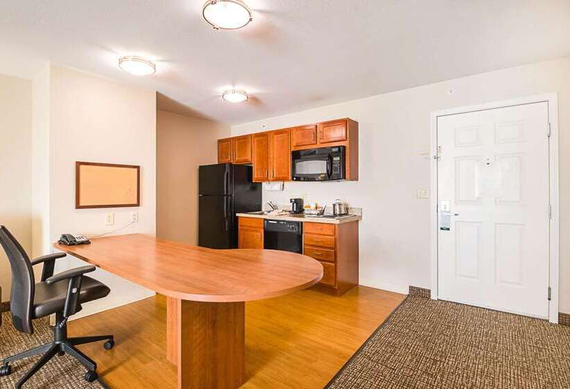 فندق Suburban Studios Waterloo