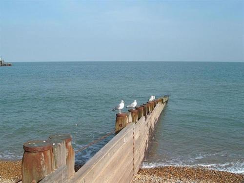 酒店 The Berkeley Guesthouse