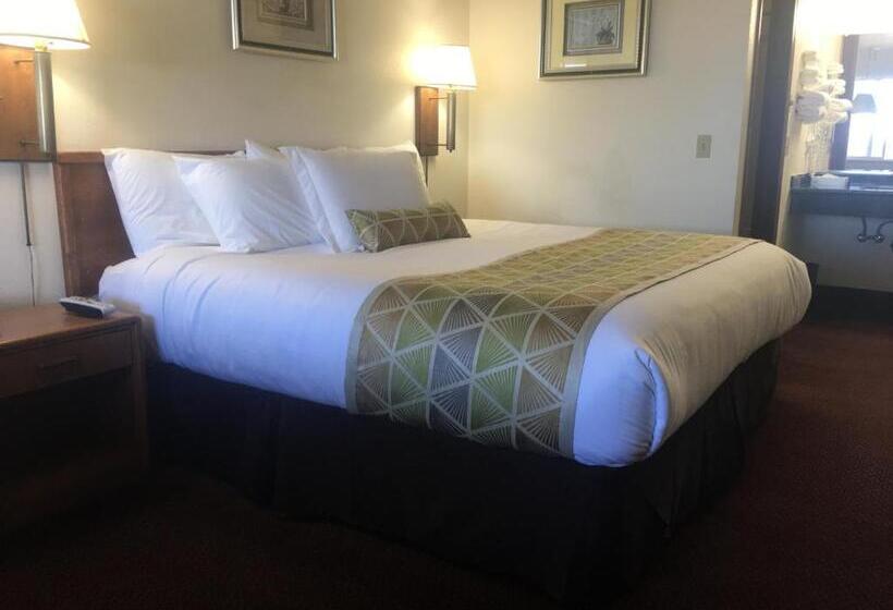 فندق Westward Inn