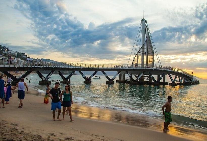 La Iguana Vallarta Lgbt Adults Only   Romantic Zone   Party Clubbing Street