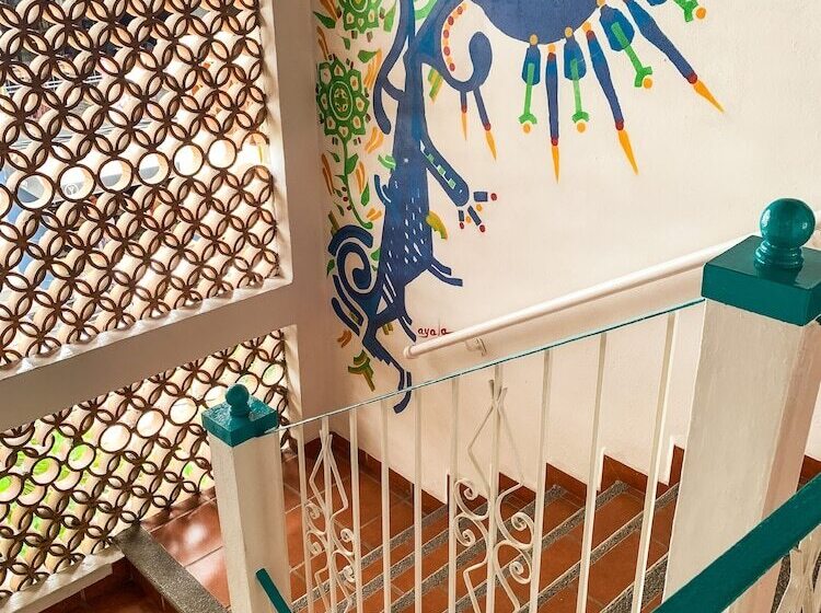 La Iguana Vallarta Lgbt Adults Only   Romantic Zone   Party Clubbing Street