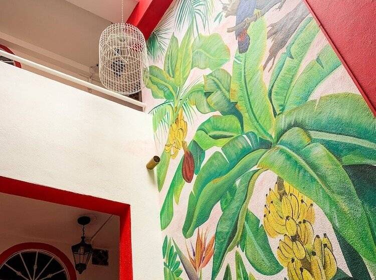 La Iguana Vallarta Lgbt Adults Only   Romantic Zone   Party Clubbing Street