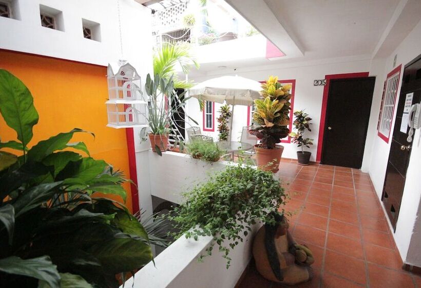 La Iguana Vallarta Lgbt Adults Only   Romantic Zone   Party Clubbing Street