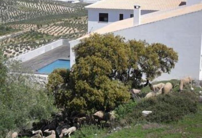 Los Castillarejos Apartamentos Rurales
