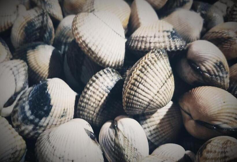 پانسیون Ribeira De Fefiñanes