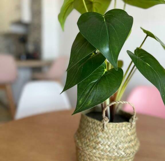 Apartamentos Vela Blanca