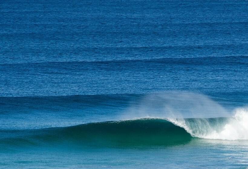 호스텔 Base Surf Lodge