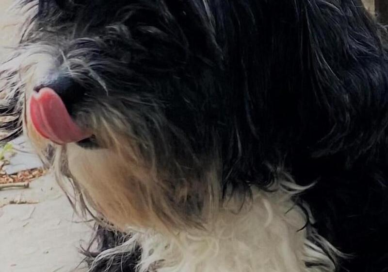 הוסטל Embassie Backpackers